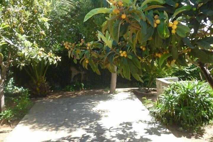 Property Grounds 25 of 36