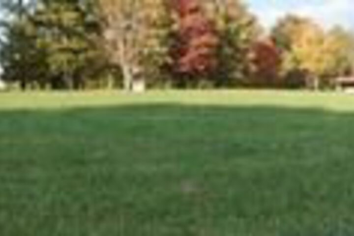 Property Grounds 23 of 26