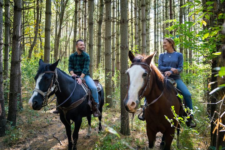 Horseback riding