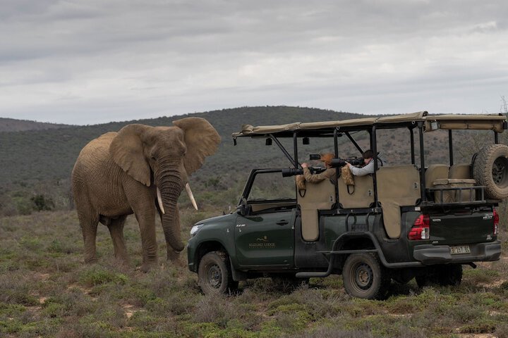 Game viewing