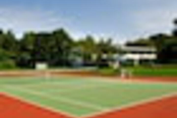 Tennis and Basketball Courts 497 of 549