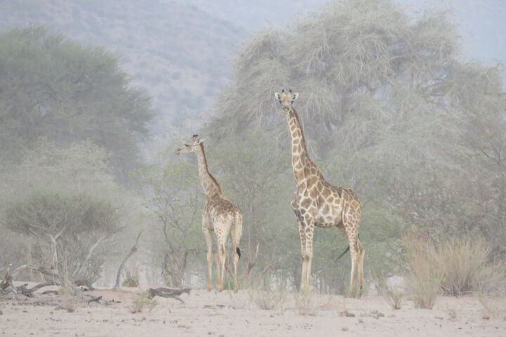 Ecotours