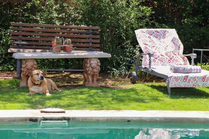 Pool 19 of 36