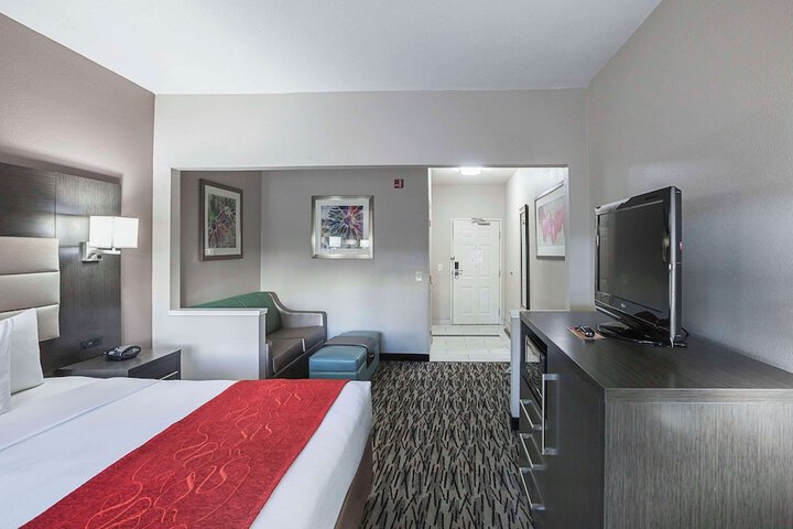 1 King Bed Suite (8 of 21)