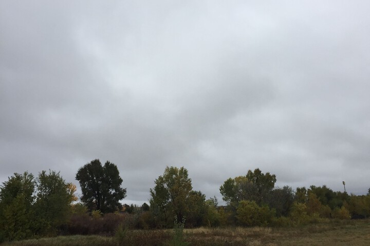 Outdoor Activities 29 of 40