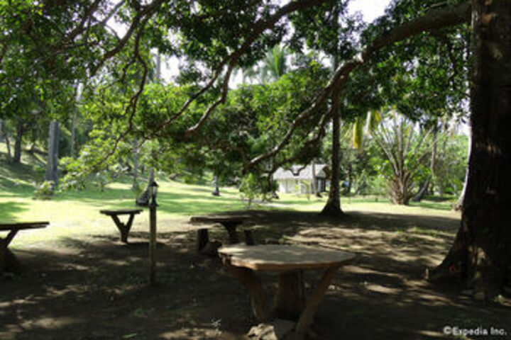Property Grounds 52 of 63