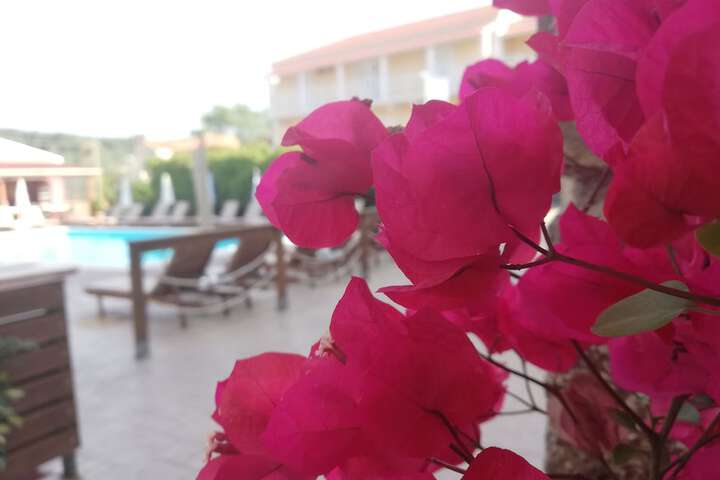 Hotel 57 of 59