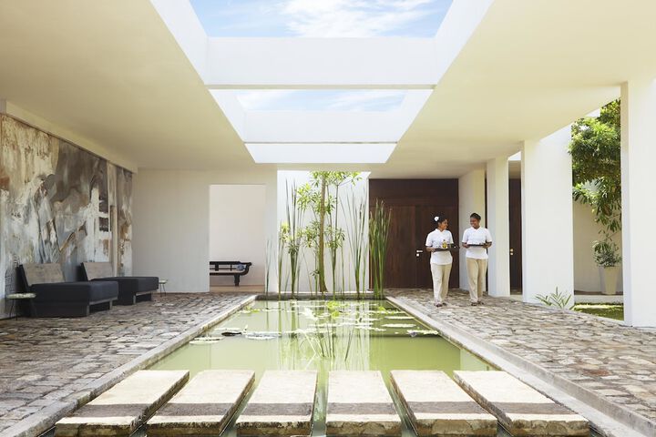 Wellness Treatments