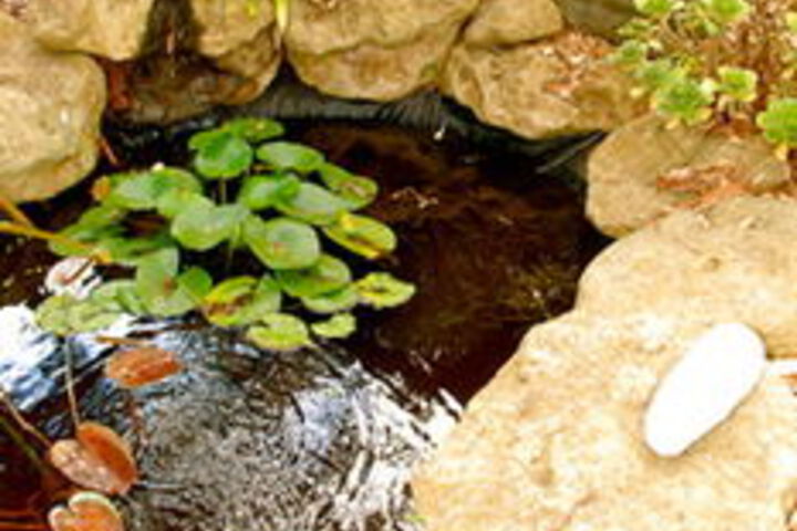 Hotel Exterior 7 of 18