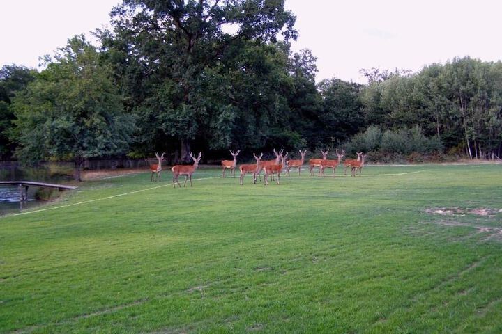 Property Grounds 20 of 24