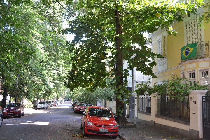Photo 25