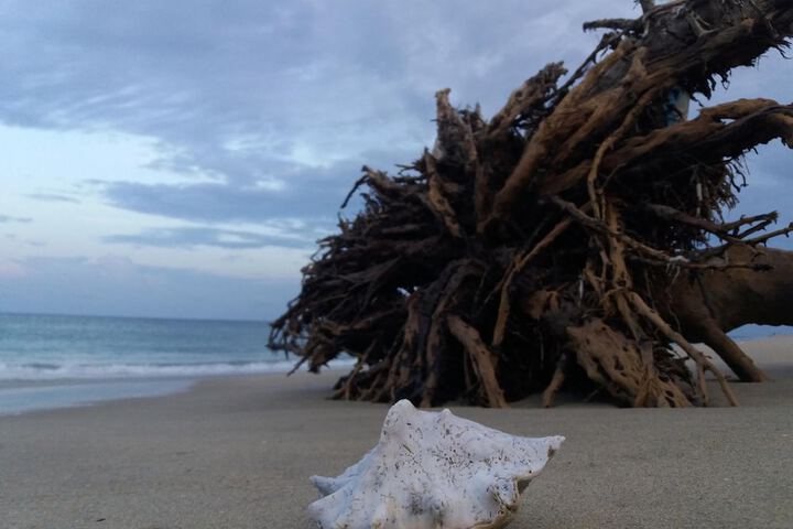 Beach 36 of 42