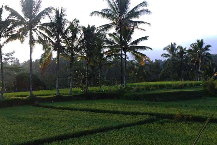 Hotel View 40 of 45