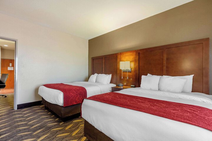 Suite King Bed Accessible (16 of 25)