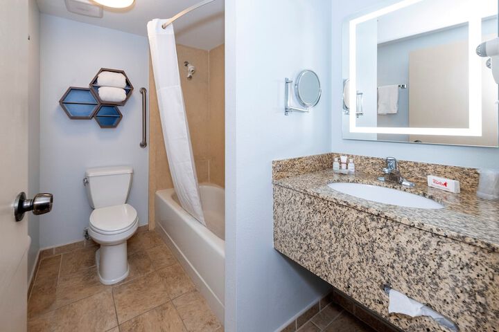 ADA Accessible Studio King Bed with Roll in Shower (4 of 14)