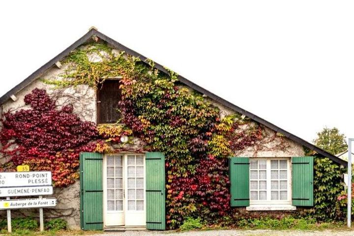 Charmante Maison Familiale à la Campagne Proche Forêt, avec Wifi, Ping-Pong et Panier de Basket - FR-1-306-1152