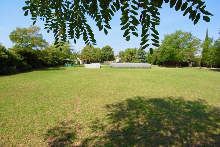 Property Grounds 23 of 26