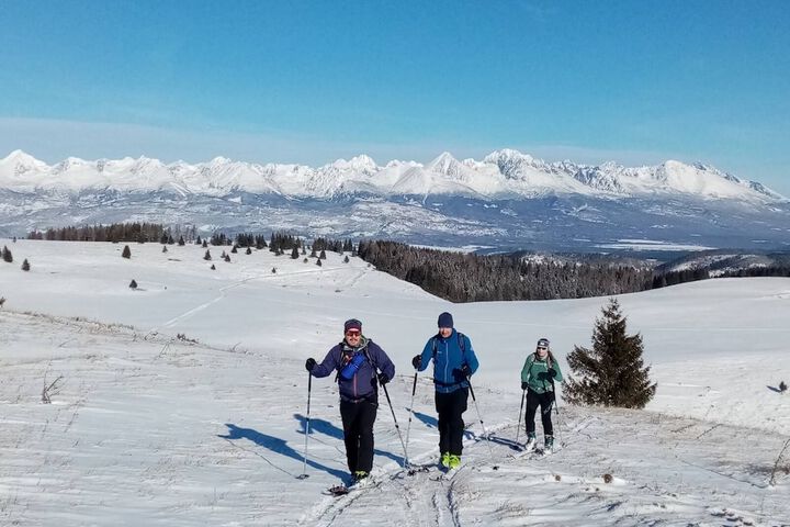 Snowshoeing