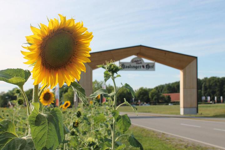 General 32 of 100
