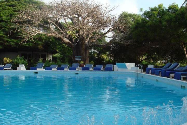 Pool 11 of 28