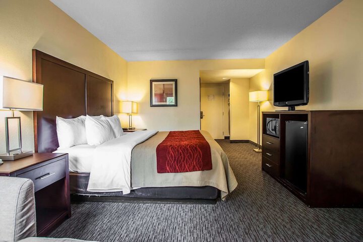 1 King Bed Accessible (2 of 16)
