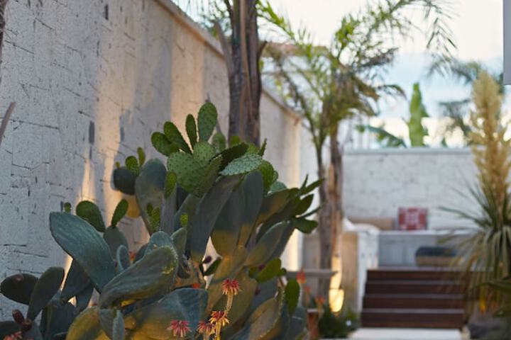Hotel Exterior 60 of 77