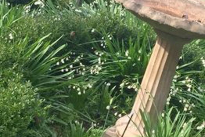 Property Grounds 50 of 50