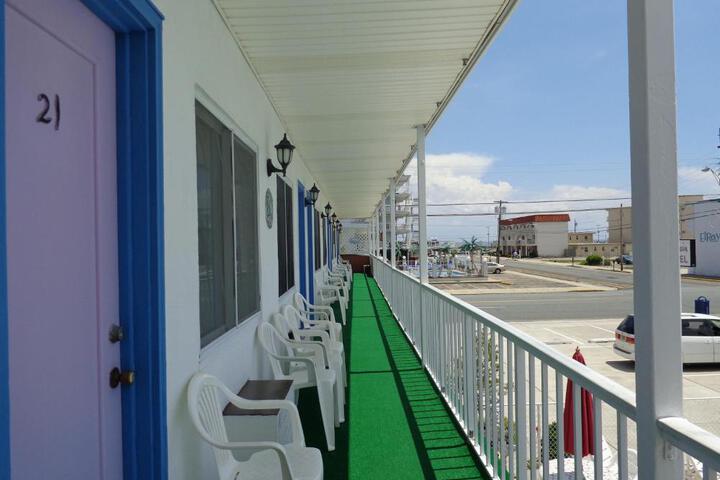 Photo 5