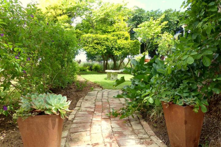 Photo 9