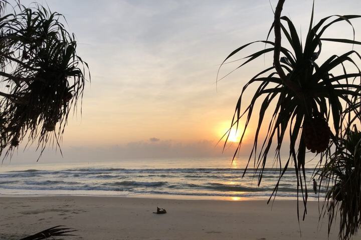 Beach 20 of 65