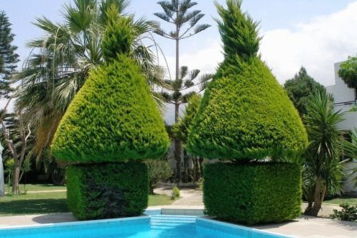 Photo 9