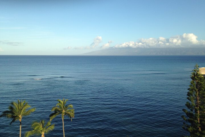 Hotel View 465 of 484