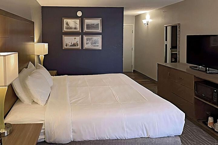 1 King Bed (6 of 22)