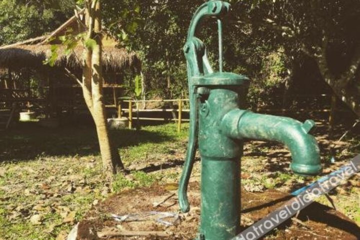 Cool Bananas Homestay