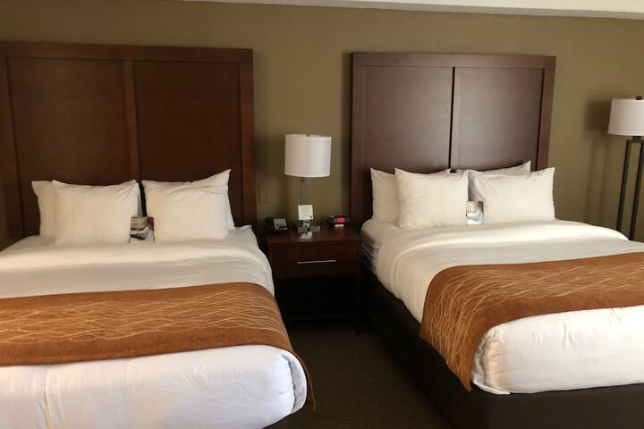 2 Double Beds (13 of 15)