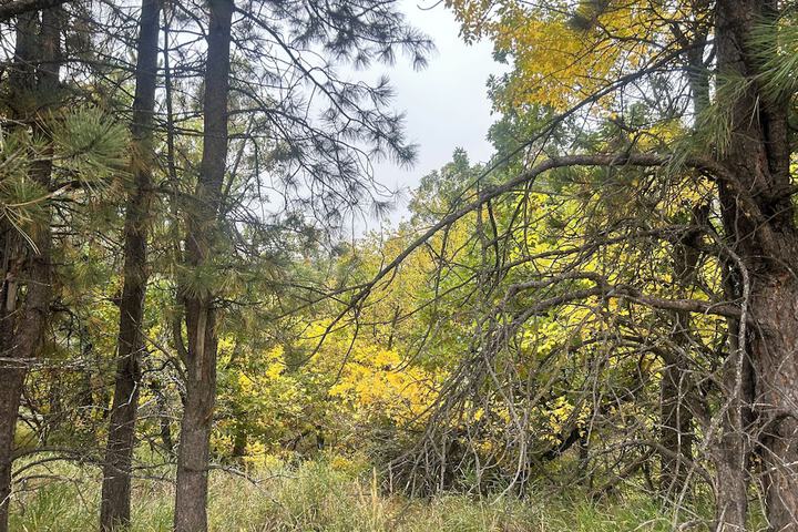 Terrace/Patio 168 of 172