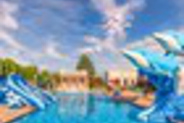Pool 206 of 222