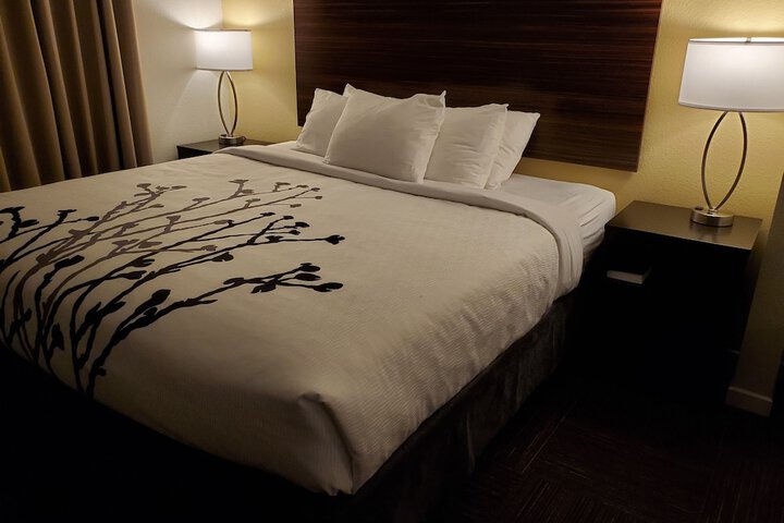 1 King Bed (15 of 29)
