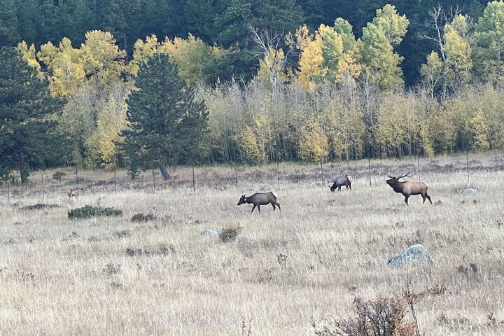 Outdoor Activities 52 of 72