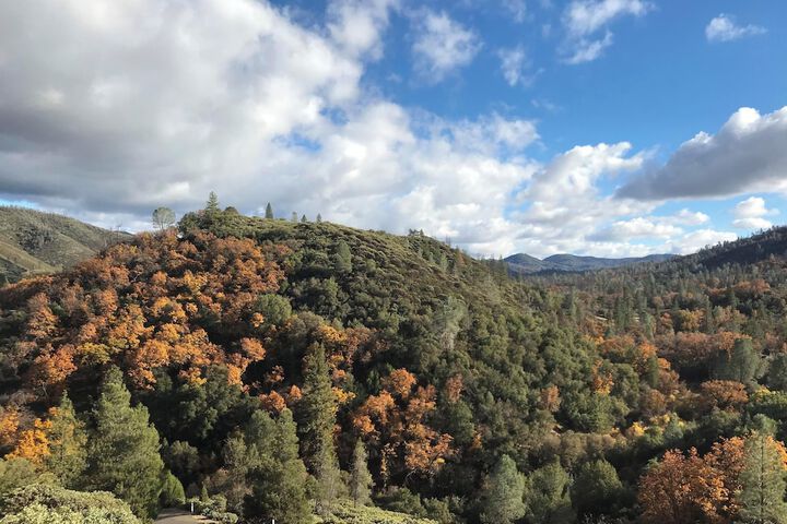 Wedding/Banquet 124 of 145