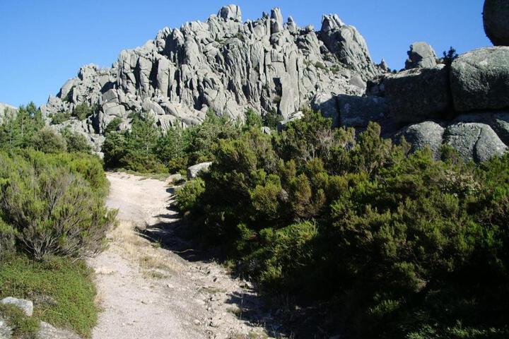 Photo 27