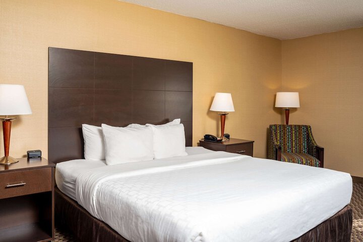Business King Bed Accessible (5 of 6)