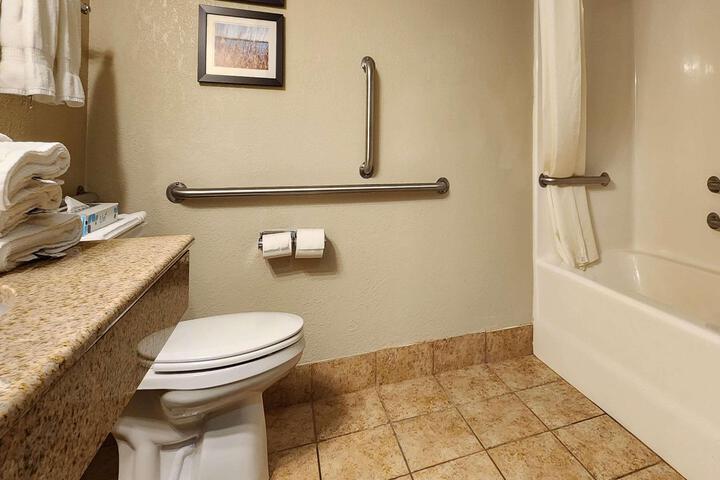 1 Queen Bed Accessible (6 of 15)