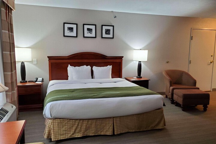 1 Bedroom Suite King Bed (3 of 5)