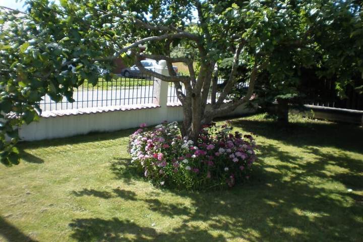 Property Grounds 38 of 62