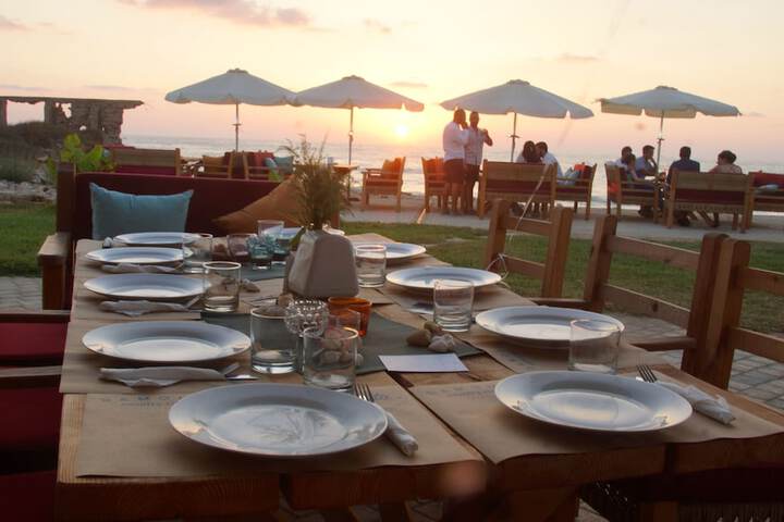 Dining 49 of 192