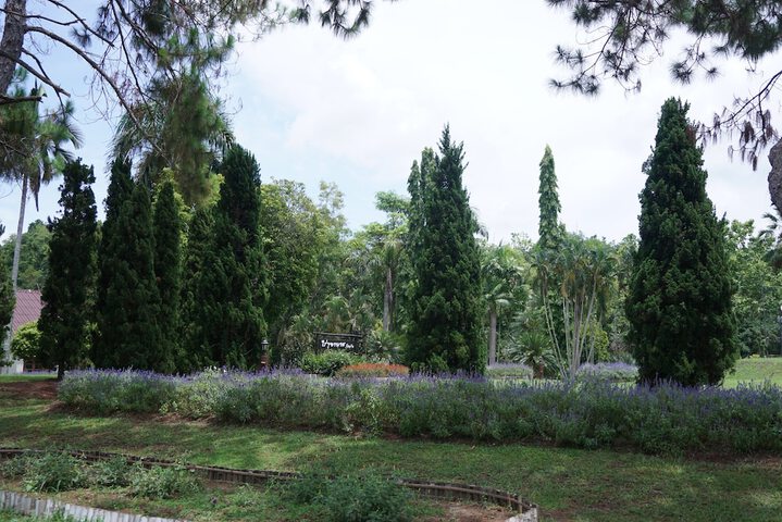 Property Grounds 14 of 25