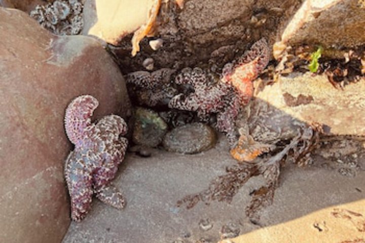 Beach 40 of 69