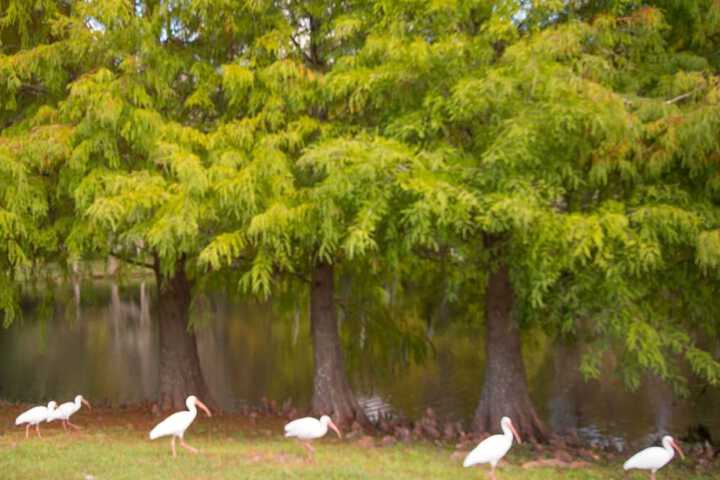 Property Grounds 18 of 21