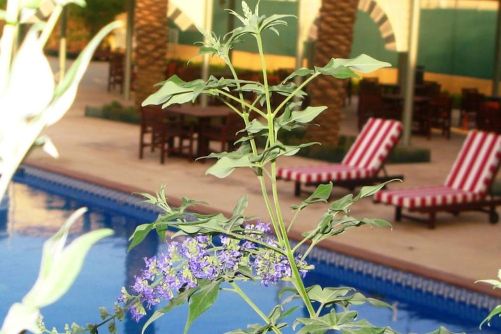 Pools & Facilities